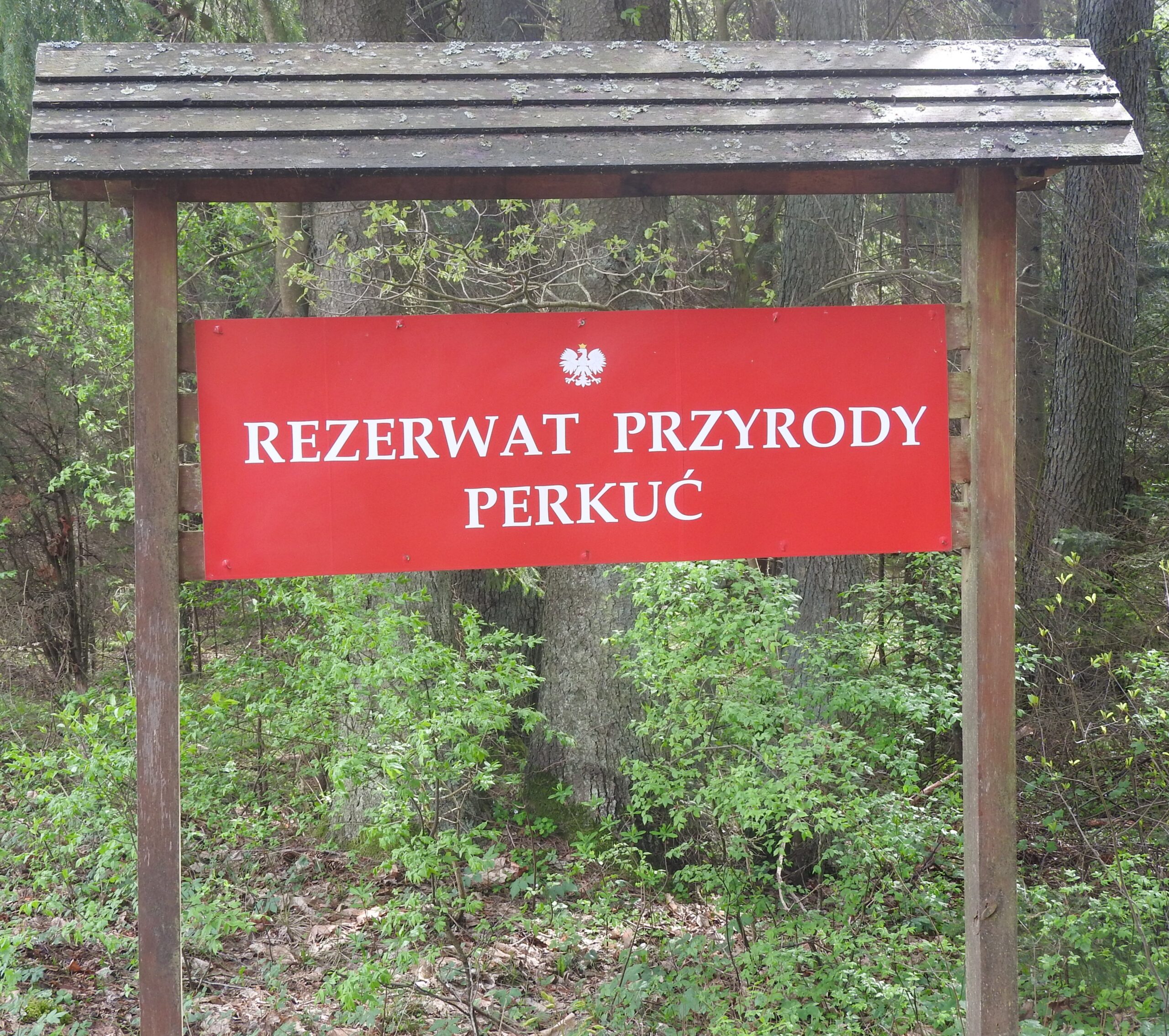 Atrakcje w okolicy
