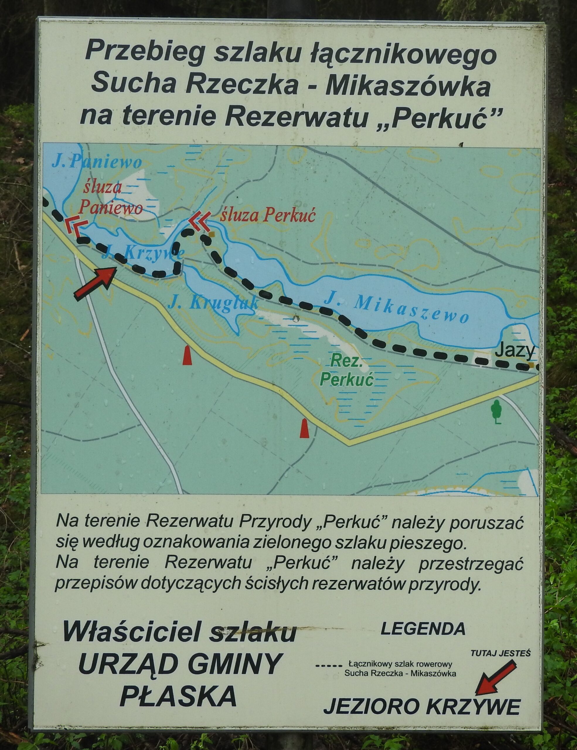 Atrakcje w okolicy